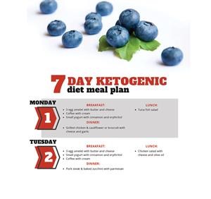 Tasteaholics 3 Day Keto Meal Plan